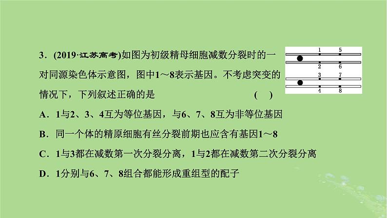 新课标2023版高考生物一轮总复习第七单元生物的变异与进化第4讲可遗传变异与细胞分裂的关系课件第6页