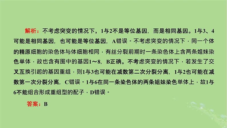 新课标2023版高考生物一轮总复习第七单元生物的变异与进化第4讲可遗传变异与细胞分裂的关系课件第7页