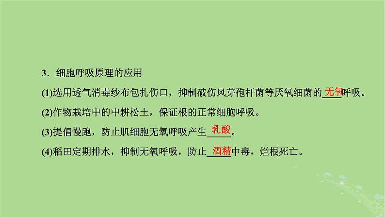 新课标2023版高考生物一轮总复习第三单元细胞的能量供应和利用第2讲细胞呼吸的原理和应用课件07