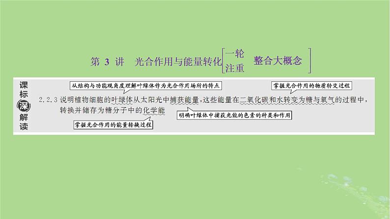 新课标2023版高考生物一轮总复习第三单元细胞的能量供应和利用第3讲光合作用与能量转化课件第1页