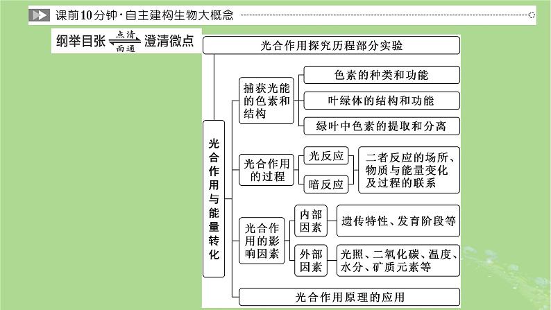 新课标2023版高考生物一轮总复习第三单元细胞的能量供应和利用第3讲光合作用与能量转化课件第2页