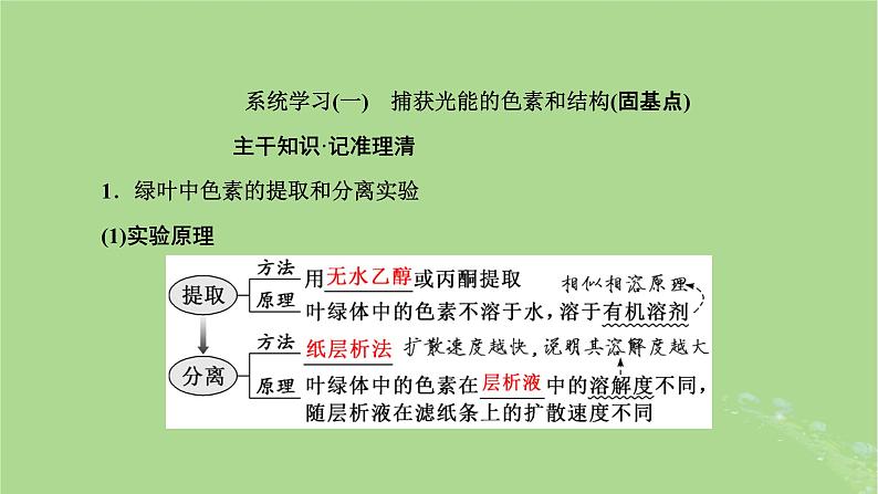 新课标2023版高考生物一轮总复习第三单元细胞的能量供应和利用第3讲光合作用与能量转化课件第4页