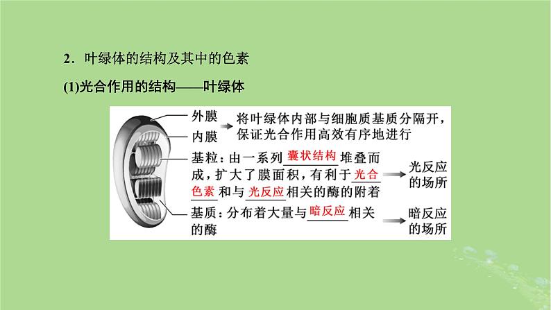 新课标2023版高考生物一轮总复习第三单元细胞的能量供应和利用第3讲光合作用与能量转化课件第7页