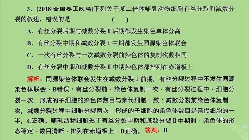 新课标2023版高考生物一轮总复习第四单元细胞的生命历程第3讲用模型构建法辨析有丝分裂和减数分裂课件第5页