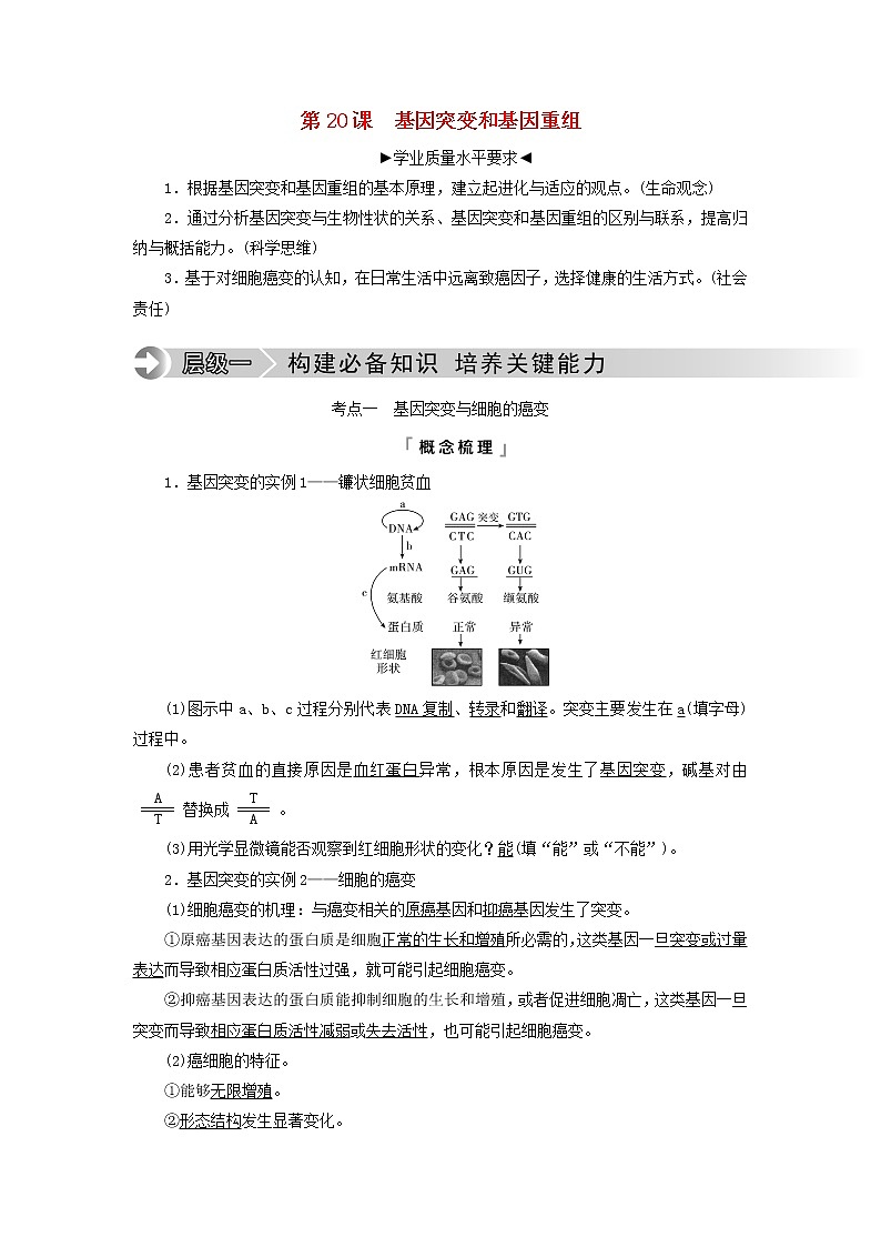 2023版高考生物一轮总复习第7单元生物的变异育种与进化第20课基因突变和基因重组教师用书01