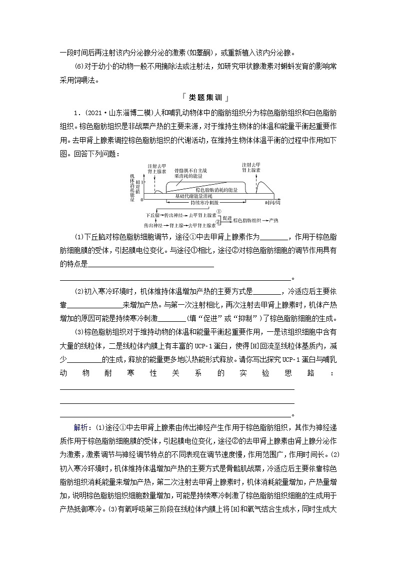 2023版高考生物一轮总复习第8单元生命活动的调节实验探究系列6.动物生理相关实验探究动物激素功能的实验探究教师用书第3页