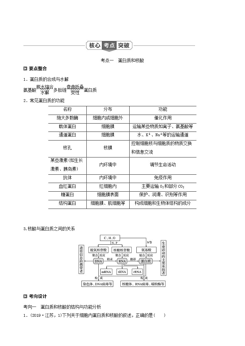 高考生物二轮复习专题1细胞的分子组成、基本结构和生命历程第1讲细胞的分子组成学案含答案03