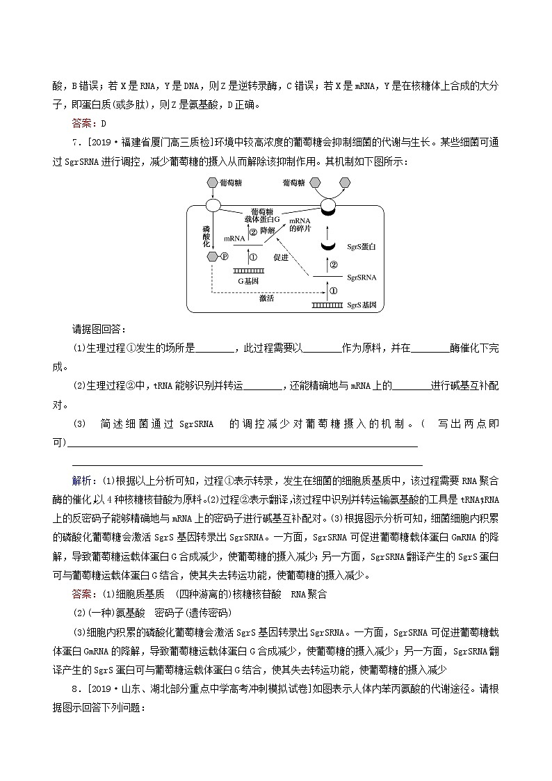 高考生物二轮复习(7)遗传的分子基础训练含答案第3页