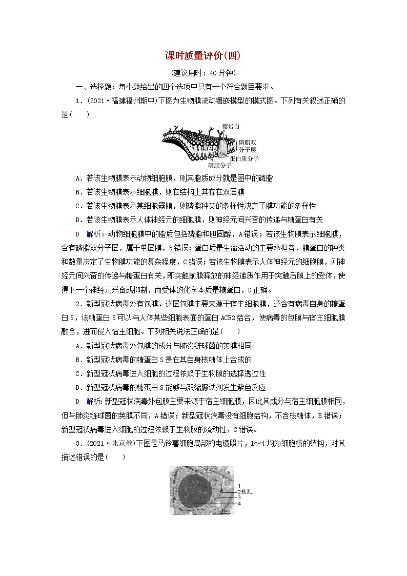 2023版高考生物一轮总复习课时质量评价4细胞膜和细胞核第1页