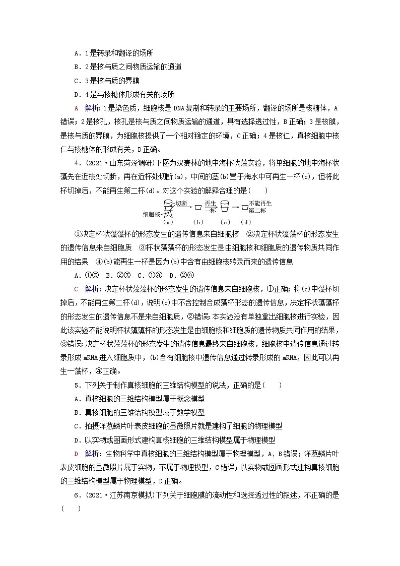 2023版高考生物一轮总复习课时质量评价4细胞膜和细胞核第2页