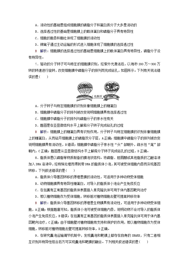 2023版高考生物一轮总复习课时质量评价4细胞膜和细胞核第3页