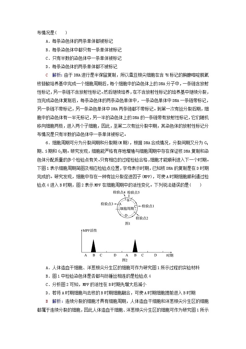 2023版高考生物一轮总复习课时质量评价11细胞的增殖第3页