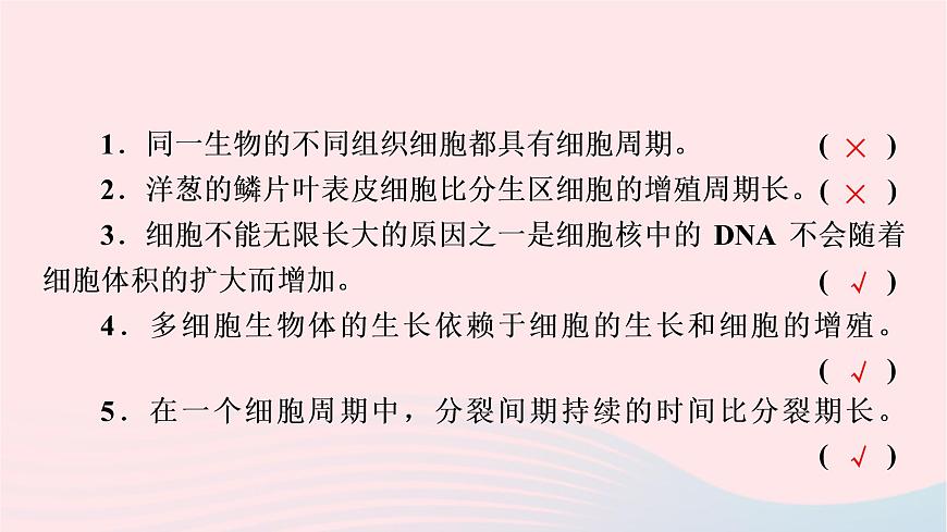 2023版高考生物一輪總復(fù)習(xí)第4單元細(xì)胞的生命歷程第11課細(xì)胞的增殖課件第6頁