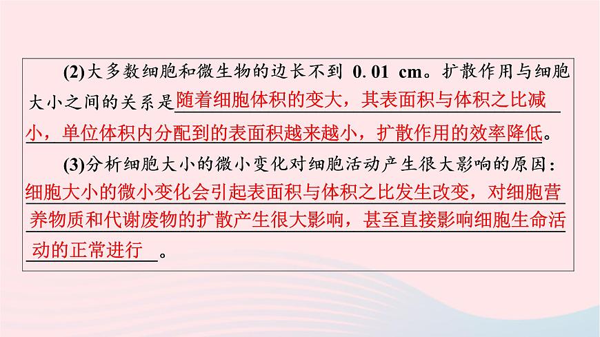 2023版高考生物一輪總復(fù)習(xí)第4單元細(xì)胞的生命歷程第11課細(xì)胞的增殖課件第8頁