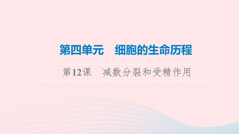 2023版高考生物一轮总复习第4单元细胞的生命历程第12课减数分裂和受精作用课件01