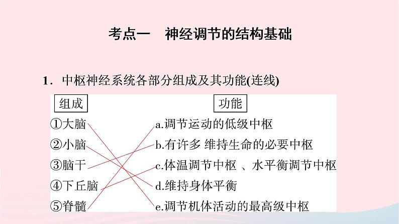 2023版高考生物一轮总复习第8单元生命活动的调节第24课神经调节的结构基础及基本方式课件第4页