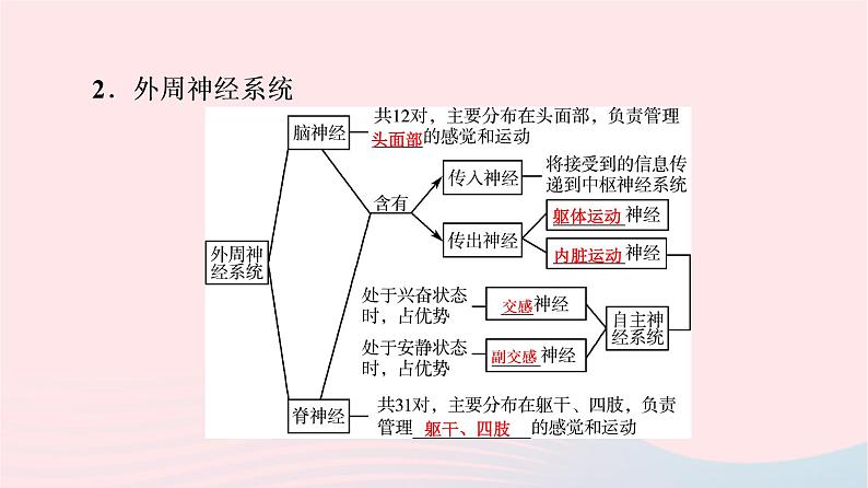 2023版高考生物一轮总复习第8单元生命活动的调节第24课神经调节的结构基础及基本方式课件第5页