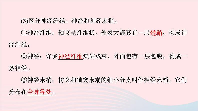 2023版高考生物一轮总复习第8单元生命活动的调节第24课神经调节的结构基础及基本方式课件第8页