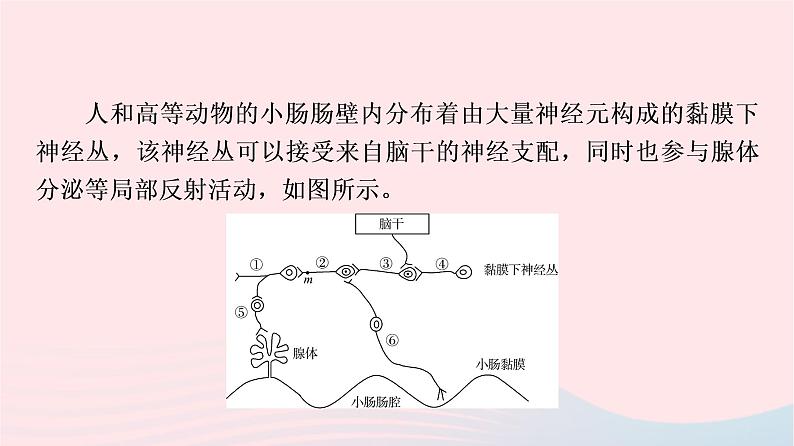 2023版高考生物一轮总复习第8单元生命活动的调节高频考点进阶课4.兴奋传导与传递的相关分析课件第3页