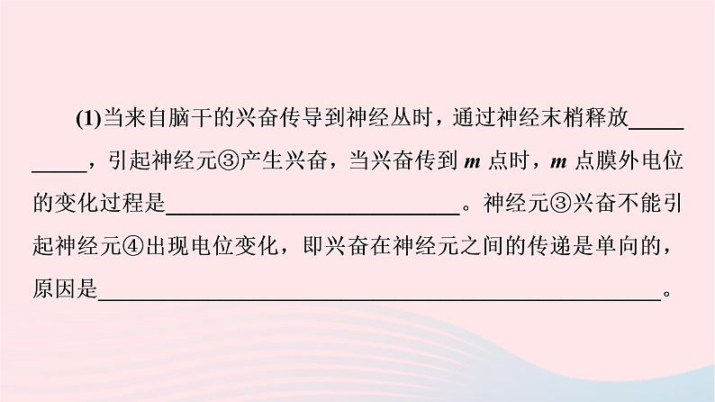 2023版高考生物一轮总复习第8单元生命活动的调节高频考点进阶课4.兴奋传导与传递的相关分析课件第4页