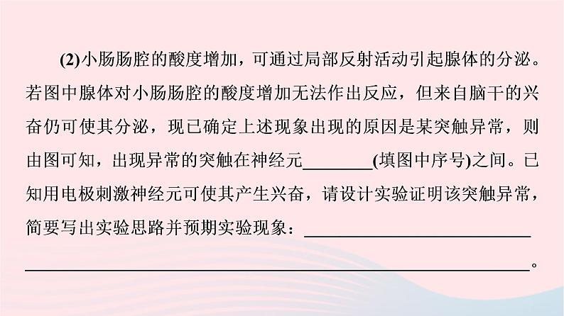 2023版高考生物一轮总复习第8单元生命活动的调节高频考点进阶课4.兴奋传导与传递的相关分析课件第5页