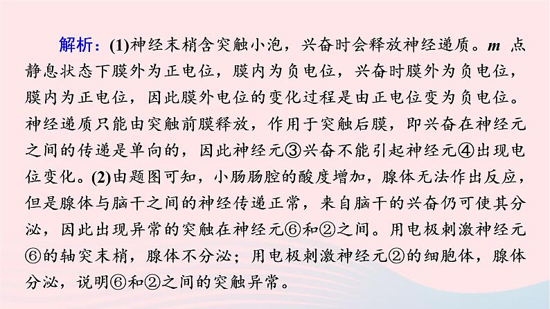 2023版高考生物一轮总复习第8单元生命活动的调节高频考点进阶课4.兴奋传导与传递的相关分析课件第6页