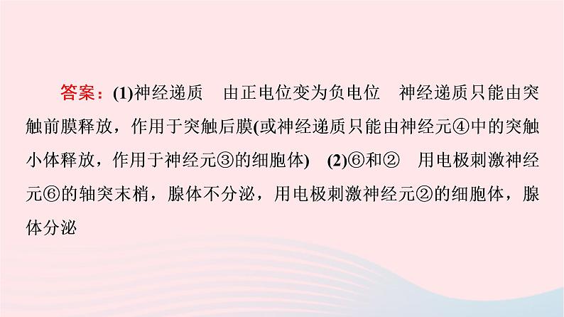 2023版高考生物一轮总复习第8单元生命活动的调节高频考点进阶课4.兴奋传导与传递的相关分析课件第7页