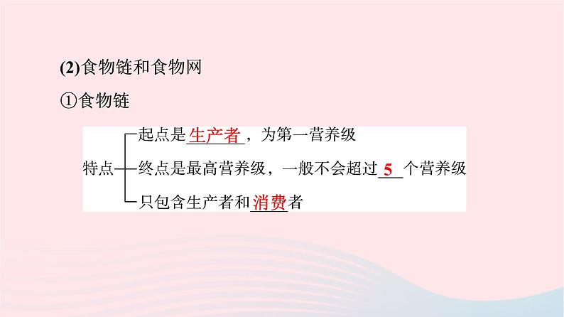 2023版高考生物一轮总复习第9单元生物与环境第32课生态系统的结构与能量流动课件第7页