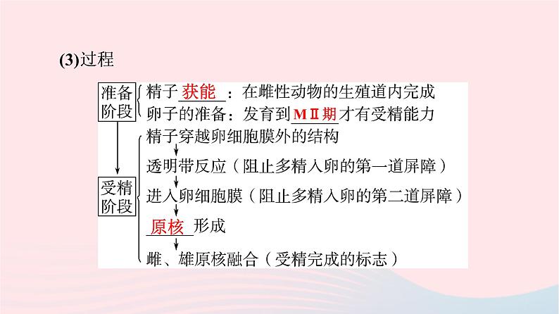 2023版高考生物一轮总复习第10单元生物技术与工程第39课胚胎工程生物技术的安全性与伦理问题课件第6页