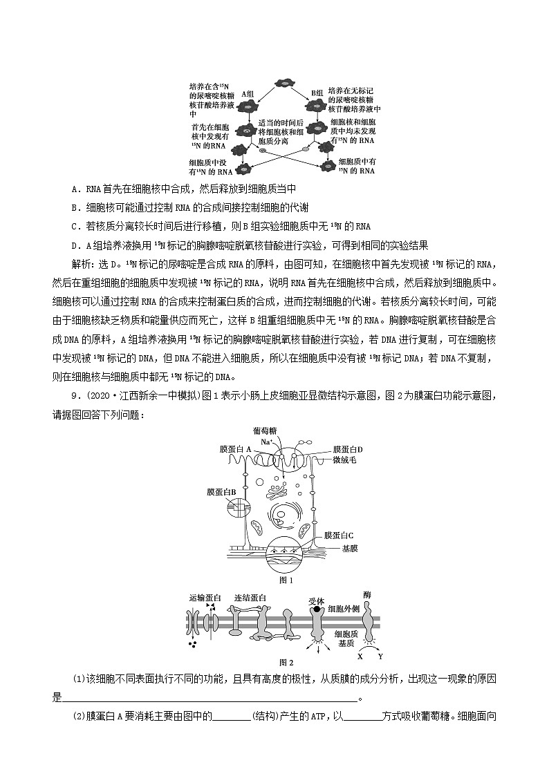 高考生物一轮复习第4讲细胞膜和细胞核达标练含答案第3页