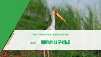 高考生物二轮复习专题1细胞的分子组成、基本结构和生命历程第1讲细胞的分子组成课件