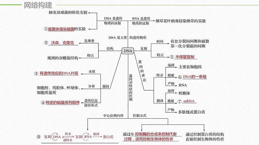 高考生物二輪復習專題3遺傳、變異與進化第1講遺傳的分子基礎課件第5頁