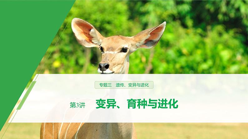 高考生物二轮复习专题3遗传、变异与进化第3讲变异、育种与进化课件第1页