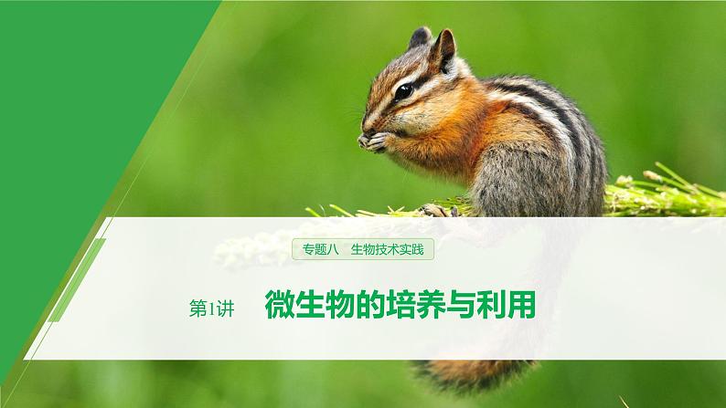高考生物二轮复习专题8生物技术实践第1讲微生物的培养与利用课件01