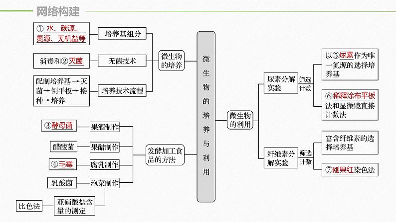 高考生物二轮复习专题8生物技术实践第1讲微生物的培养与利用课件05
