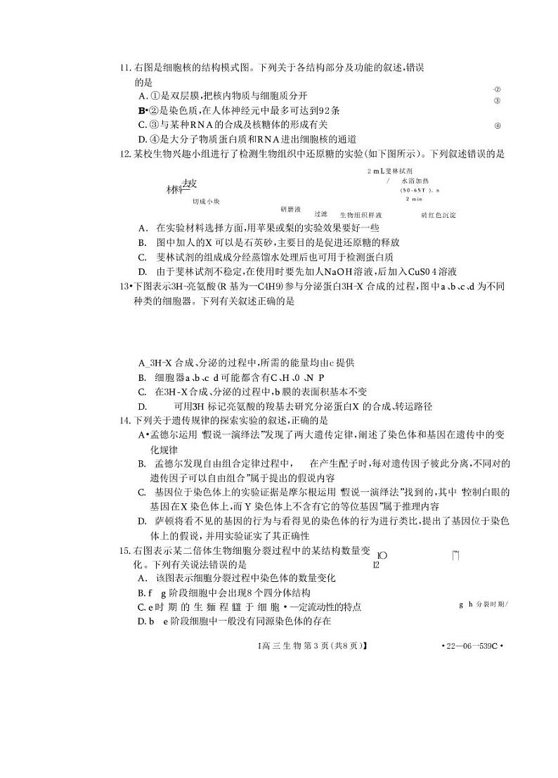 洛阳创新发展联盟2023届高三摸底考试生物试卷第3页