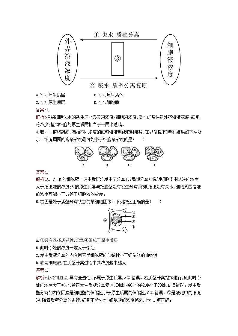 新教材高中生物第4章细胞的物质输入和输出第1节被动运输课后习题新人教版必修1第2页
