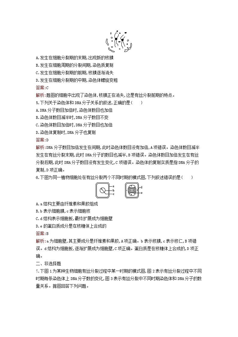 新教材高中生物第6章细胞的生命历程第1节细胞的增殖第1课时植物细胞的增殖课后习题新人教版必修1第2页