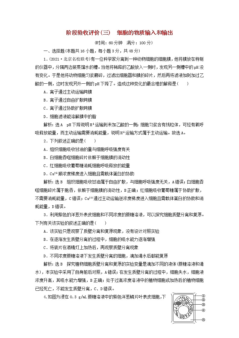 2022新教材高中生物阶段验收评价三细胞的物质输入和输出新人教版必修1 试卷01