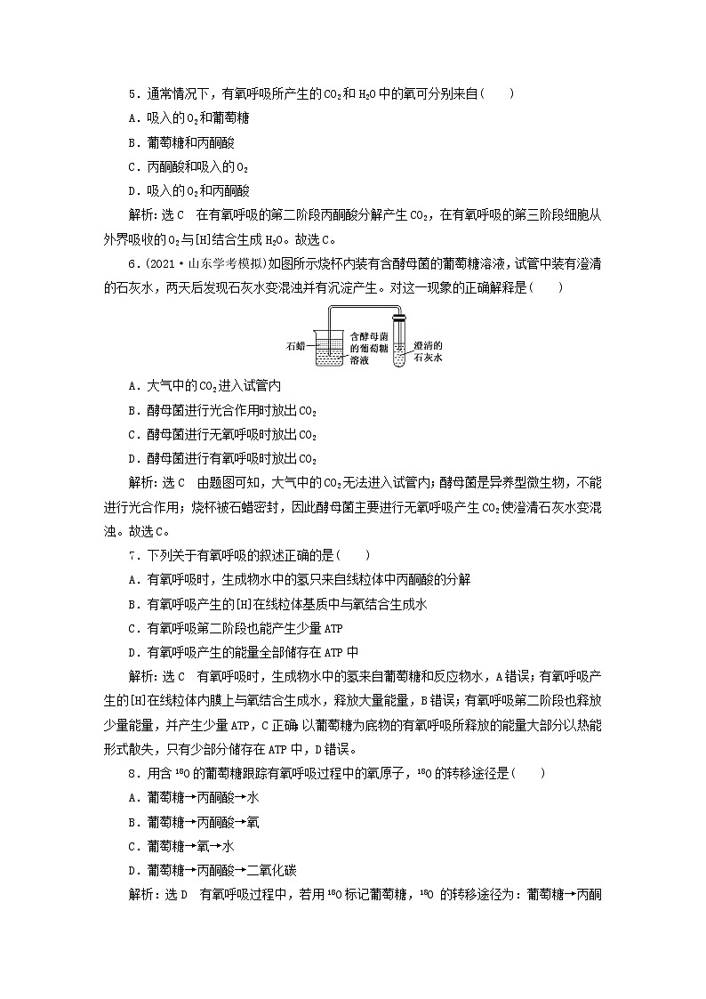 2022新教材高中生物課時(shí)跟蹤檢測十九細(xì)胞呼吸的方式與有氧呼吸新人教版必修1第2頁