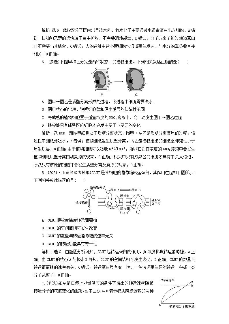2022新教材高中生物课时跟踪检测十四探究植物细胞的吸水和失水与被动运输新人教版必修102