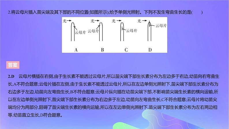 2022_2023学年高中生物第五章植物生命活动的调节课时2课件浙科版选择性必修104