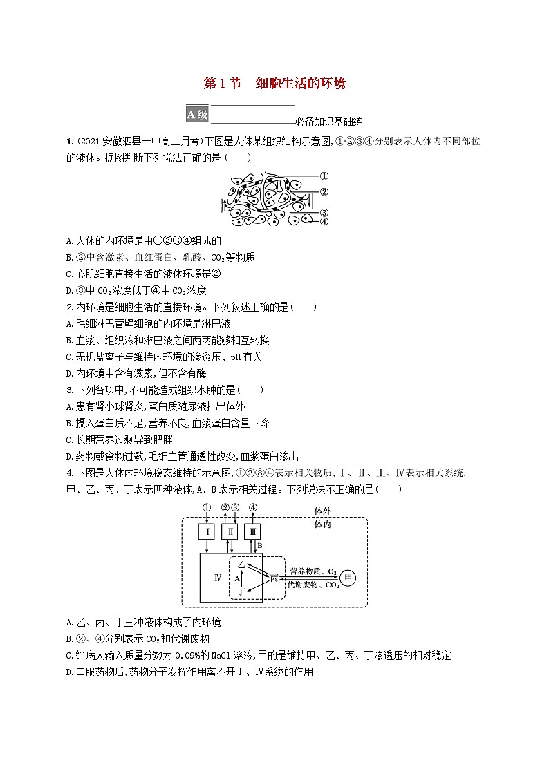 2022_2023学年新教材高中生物第1章人体的内环境与稳态第1节细胞生活的环境课后习题新人教版选择性必修1第1页
