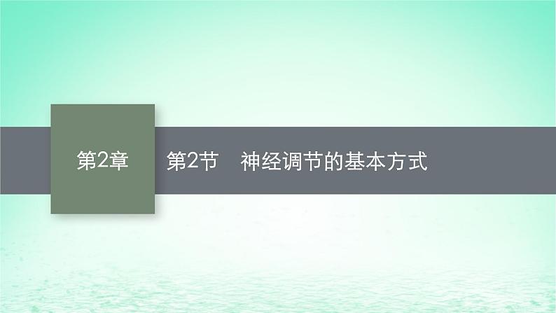 2022_2023学年新教材高中生物第2章神经调节第2节神经调节的基本方式课件新人教版选择性必修101