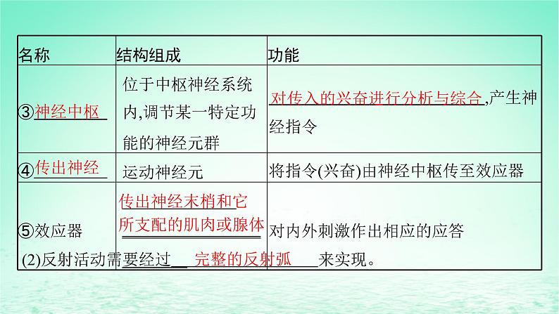 2022_2023学年新教材高中生物第2章神经调节第2节神经调节的基本方式课件新人教版选择性必修107