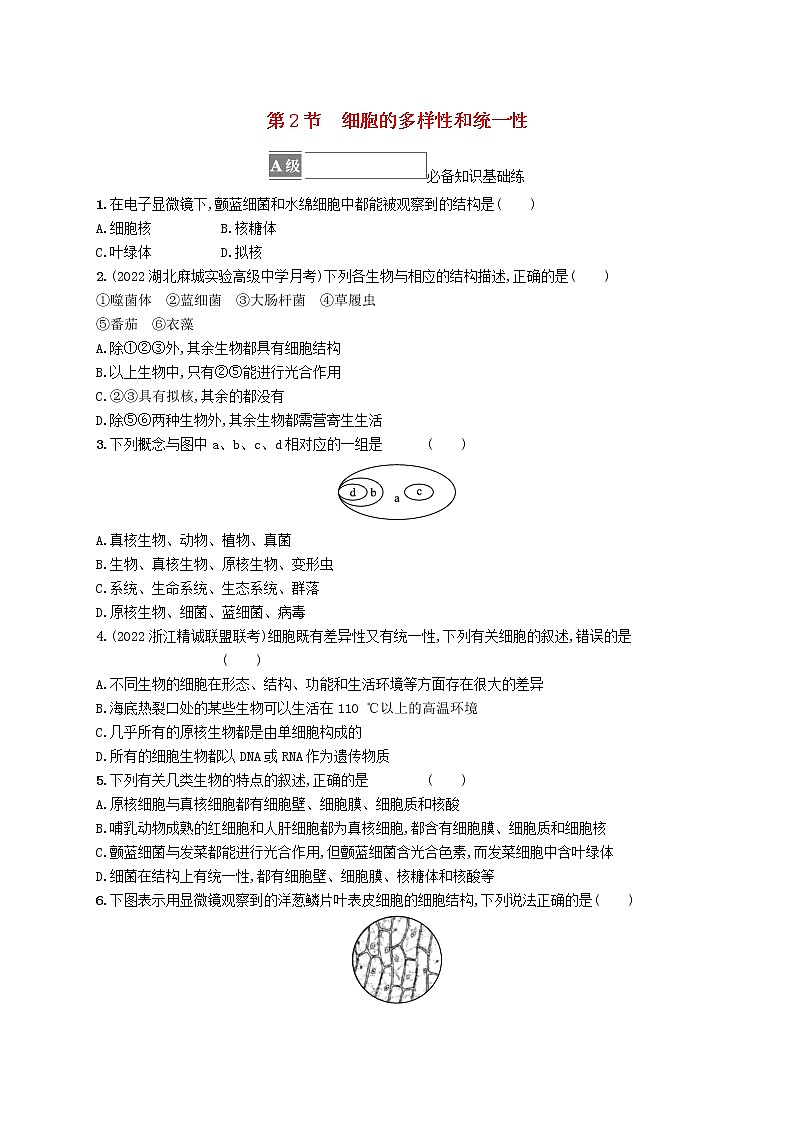 2022_2023学年新教材高中生物第1章走近细胞第2节细胞的多样性和统一性课后习题新人教版必修101