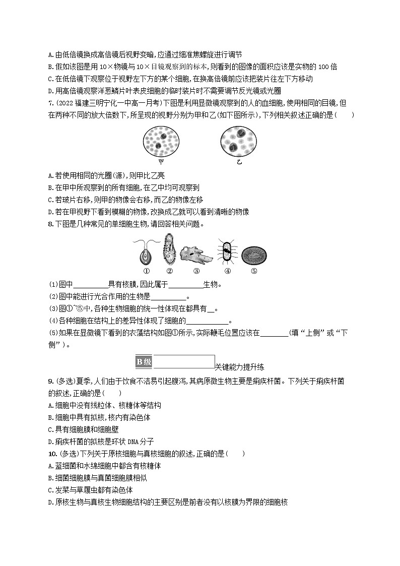 2022_2023学年新教材高中生物第1章走近细胞第2节细胞的多样性和统一性课后习题新人教版必修102