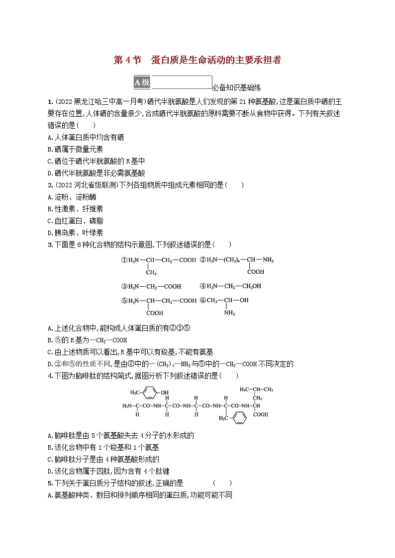 2022_2023学年新教材高中生物第2章组成细胞的分子第4节蛋白质是生命活动的主要承担者课后习题新人教版必修1第1页