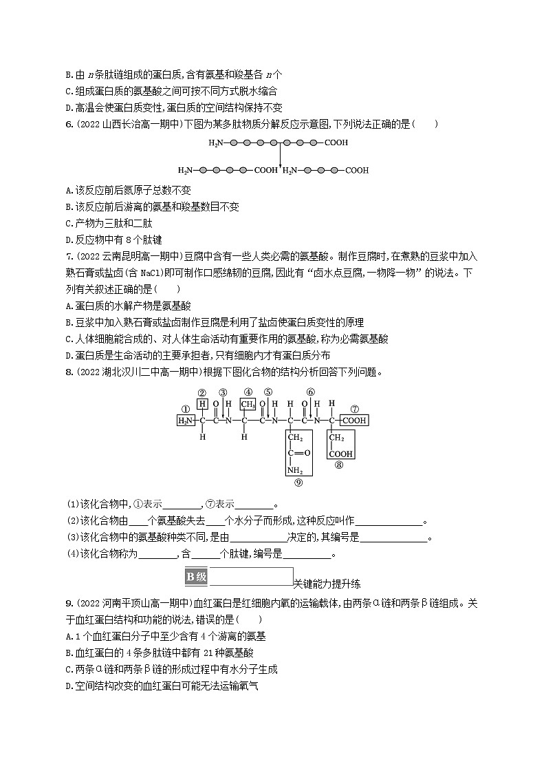 2022_2023学年新教材高中生物第2章组成细胞的分子第4节蛋白质是生命活动的主要承担者课后习题新人教版必修1第2页