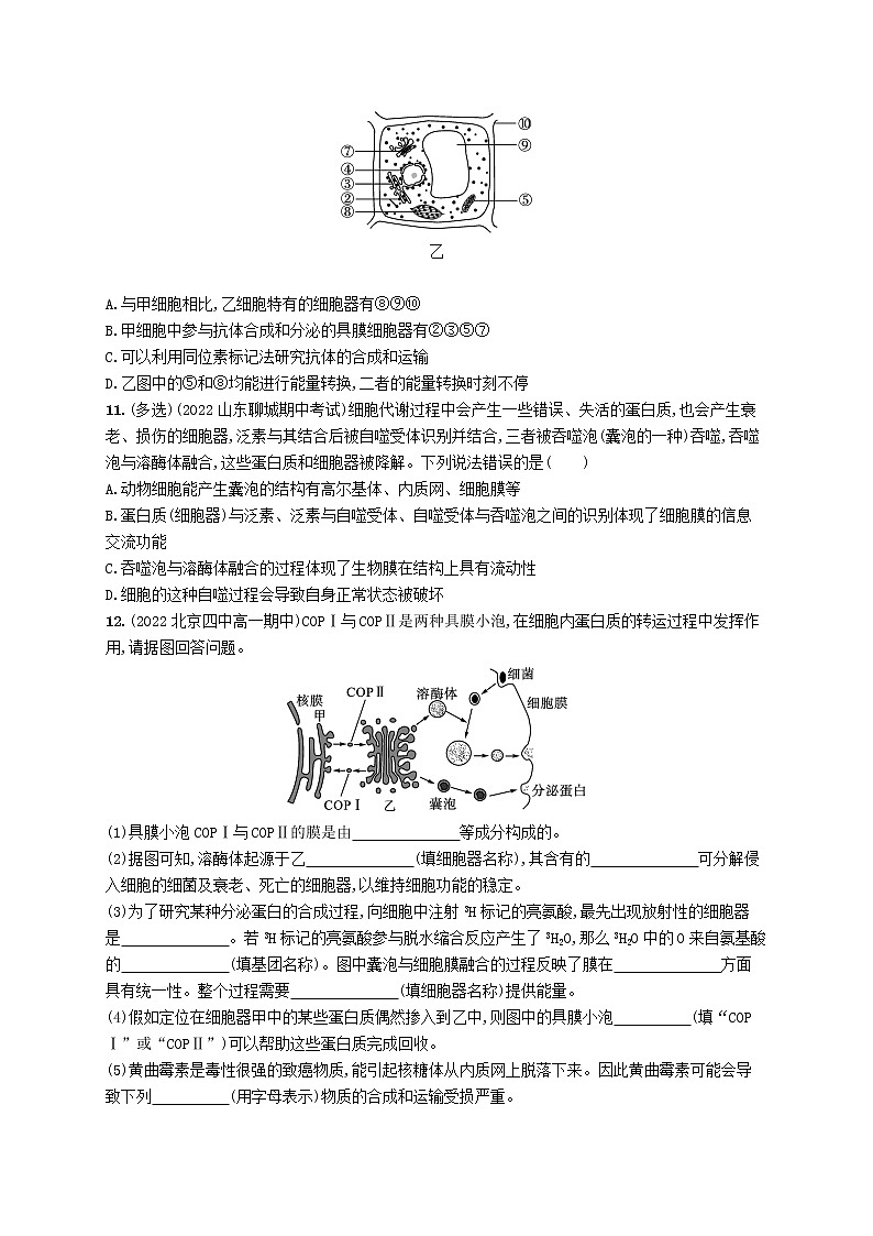 2022_2023学年新教材高中生物第3章细胞的基本结构第2节细胞器之间的分工合作第2课时细胞器之间的协调配合和细胞的生物膜系统课后习题新人教版必修1第3页